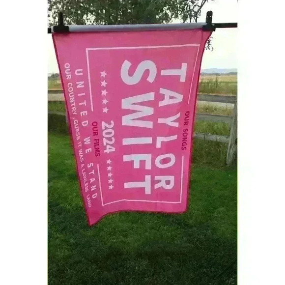 Taylor Swift 3’ X 5’ Save America Again 2024 Pink Banner Flag Room Decor Tic Toc - Picture 7 of 7